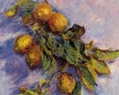 克劳德 莫奈 : Lemons on a Branch